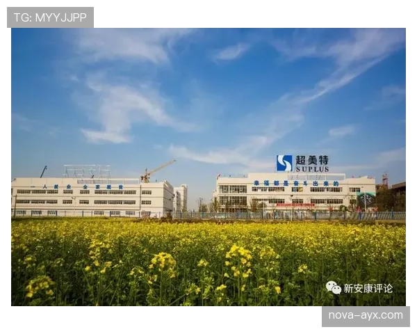 安联竞技场升级迈入新阶段，德甲球队期待赛事体验全面提升