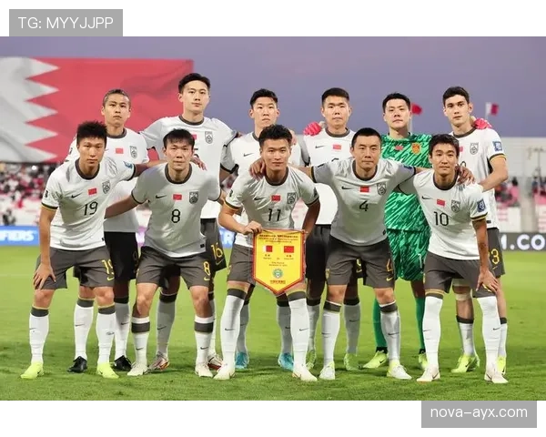 格鲁吉亚球迷热情助威，助力国家队国际赛场竞争力持续攀升